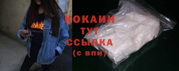 дживик Богородицк