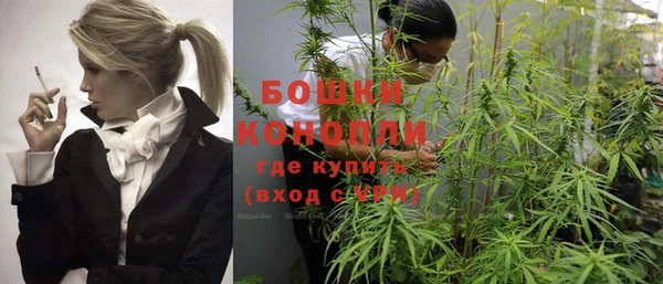 дживик Богородицк
