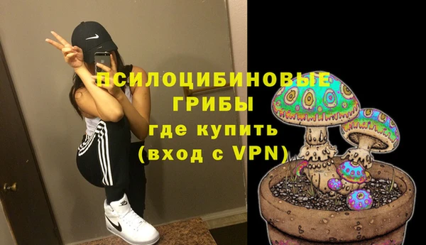 2c-b Богородск