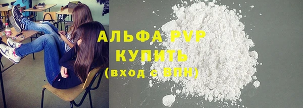 дживик Богородицк